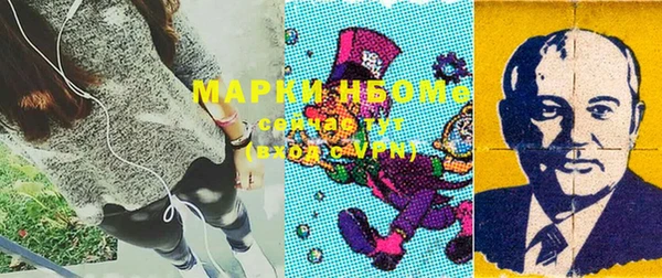 ГАЛЛЮЦИНОГЕННЫЕ ГРИБЫ Вязники