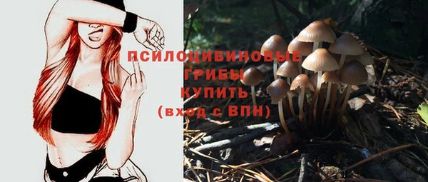 таблы Вязьма