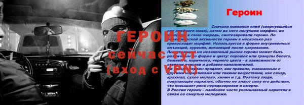 шишки Сясьстрой