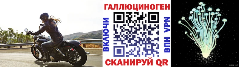 Псилоцибиновые грибы прущие грибы  ссылка на мегу сайт  Горно-Алтайск  хочу  