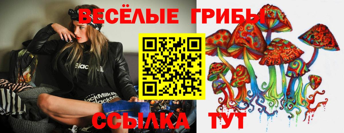Псилоцибиновые грибы GOLDEN TEACHER  Вход с VPN  Горно-Алтайск 