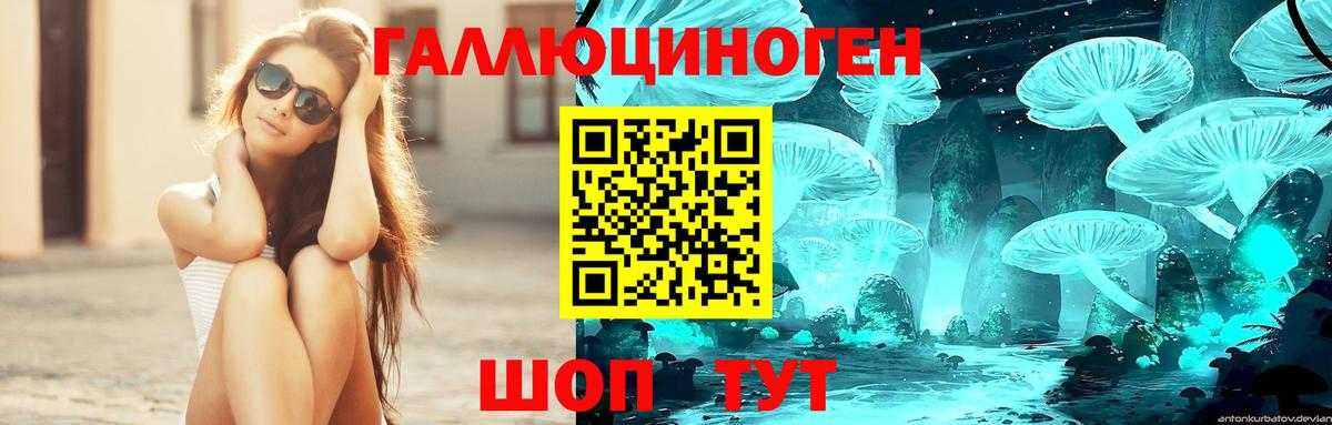 Псилоцибиновые грибы ЛСД  Горно-Алтайск  Галлюциногенные грибы мицелий 